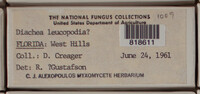 Image Associated With the Occurence